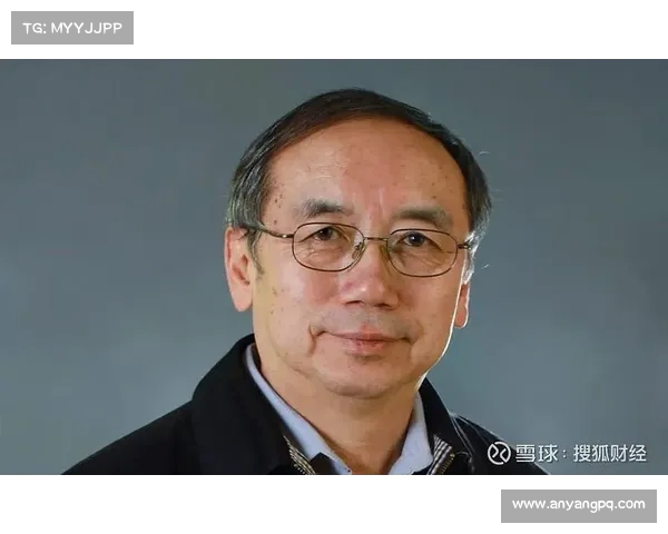 王小鲁:重启市场化改革是中国经济复苏的关键之道 王小鲁:重启市场化改革是中国经济复苏的关键之道